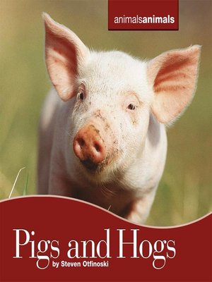 cover image of Pigs and Hogs